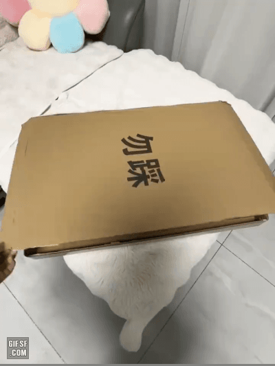 BMW 헤드라이트 조명 | 인스티즈