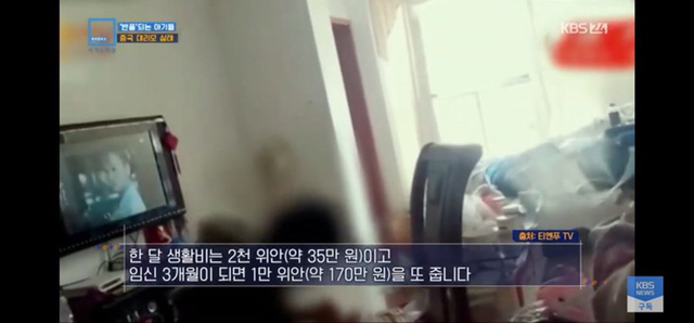 충격과 공포의 중국 대리모 시장 | 인스티즈