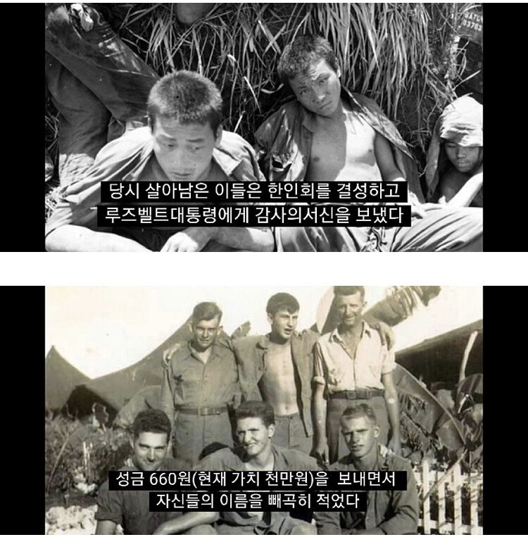 한국계가 살고있는 섬 | 인스티즈