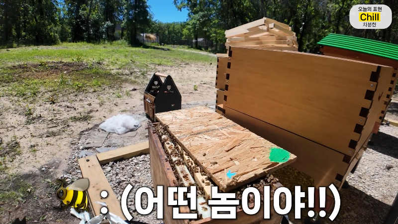 양봉 시작한 올리버쌤 근황.jpg | 인스티즈