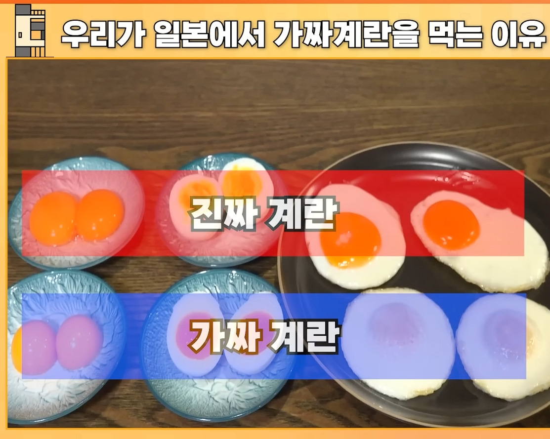 ???:일본 계란은 차원이 다름 | 인스티즈