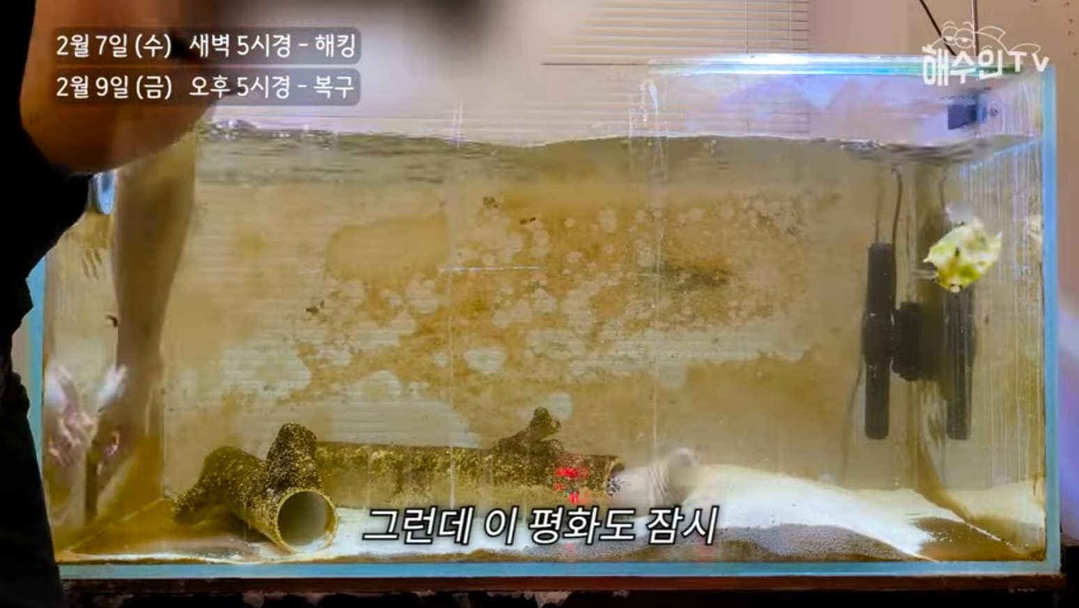 유튜브 계정이 3번이나 해킹 당한 이유 | 인스티즈