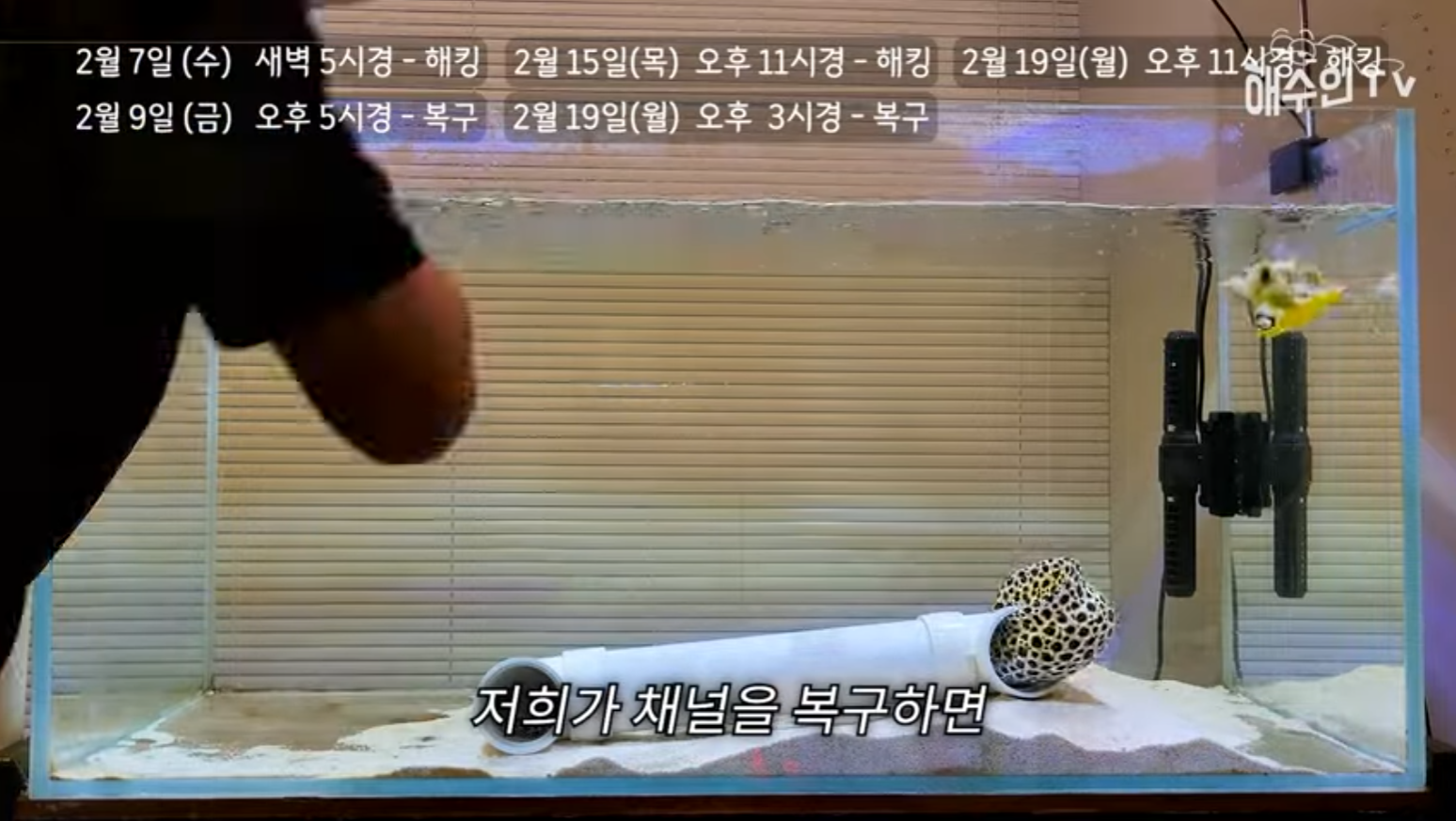 유튜브 계정이 3번이나 해킹 당한 이유 | 인스티즈