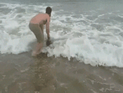 아기 고래 | 인스티즈