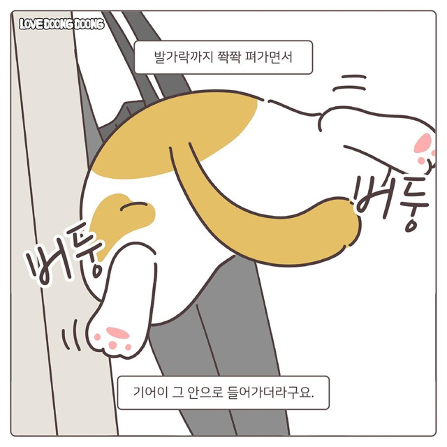프라이탁 가방에 환장하는 냥이.gif | 인스티즈
