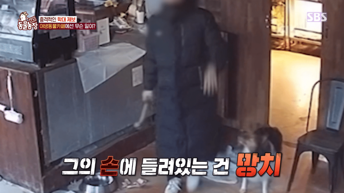 현재 난리난 동물농장에 나온 동물카페 사장.jpg | 인스티즈
