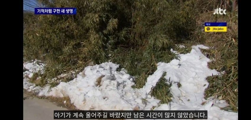 한파에 버려진 갓난아기 | 인스티즈