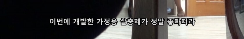 모기 때문에 고생하는 여동생 | 인스티즈