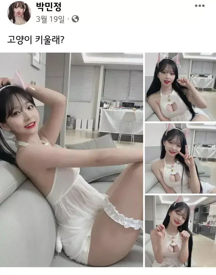 고양이 키울래? | 인스티즈