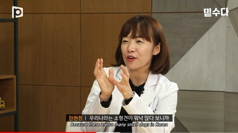 국내 소형견이 유독 슬개골 탈구가 많은 이유 | 인스티즈