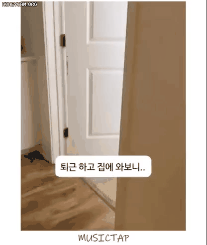 방해하지 말아라 집사야 | 인스티즈