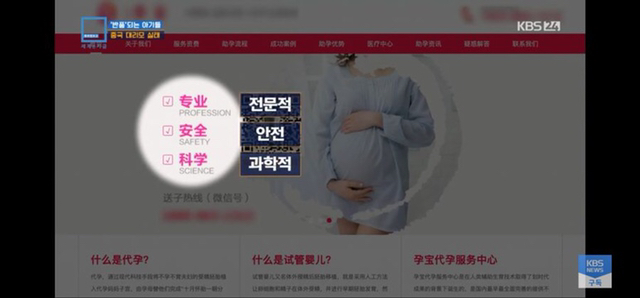 충격과 공포의 중국 대리모 시장 | 인스티즈