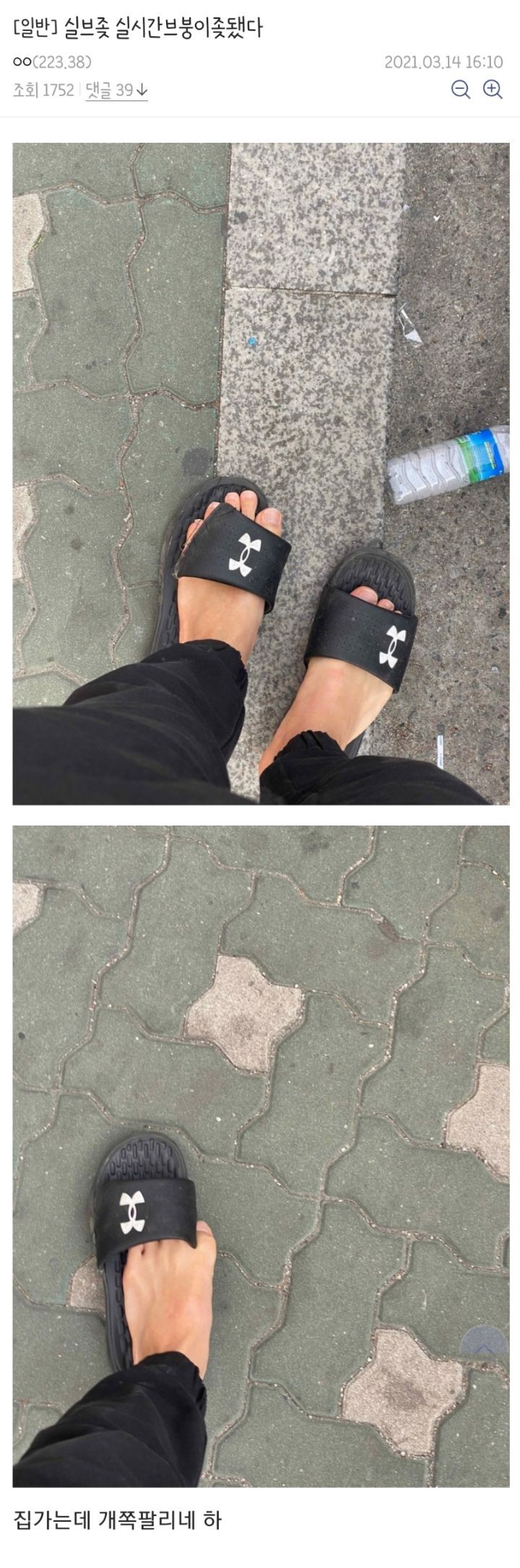 실시간 x된 브붕이....jpg | 인스티즈