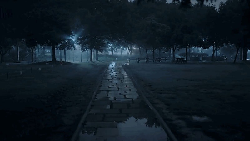 한 유튜버가 촬영하면서 정말 무서웠다는 새벽 2시 서울숲 풍경 | 인스티즈