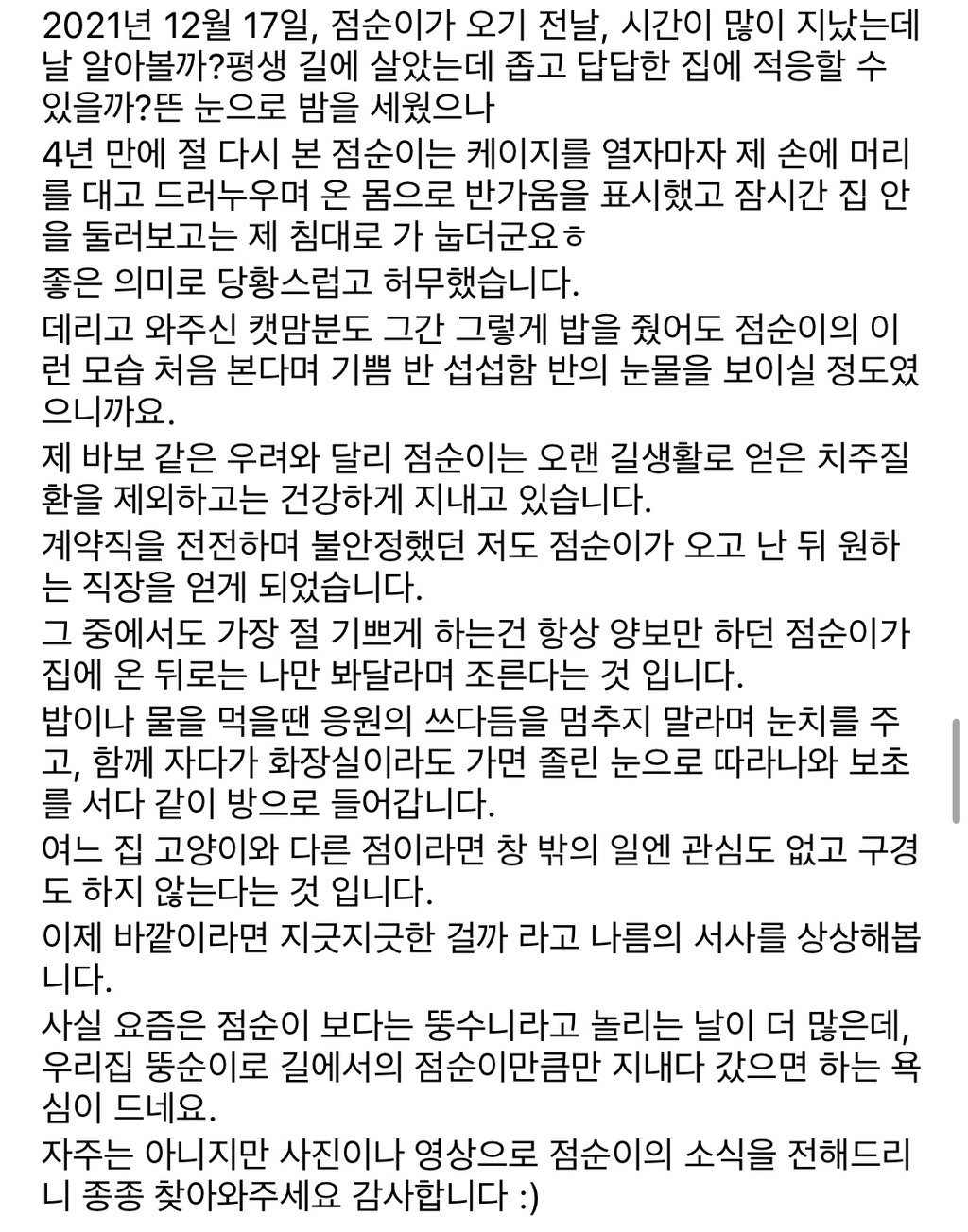 빨래 당하던 고양이 근황 ...jpg | 인스티즈