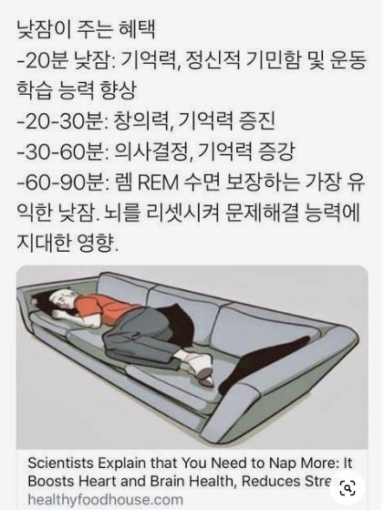 낮잠이 주는 엄청난 혜택 | 인스티즈