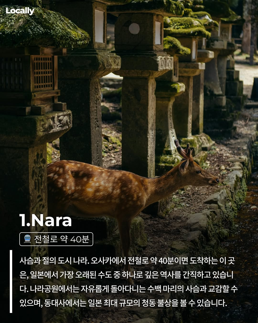 당일치기 오사카 근교도시 총정리 | 인스티즈