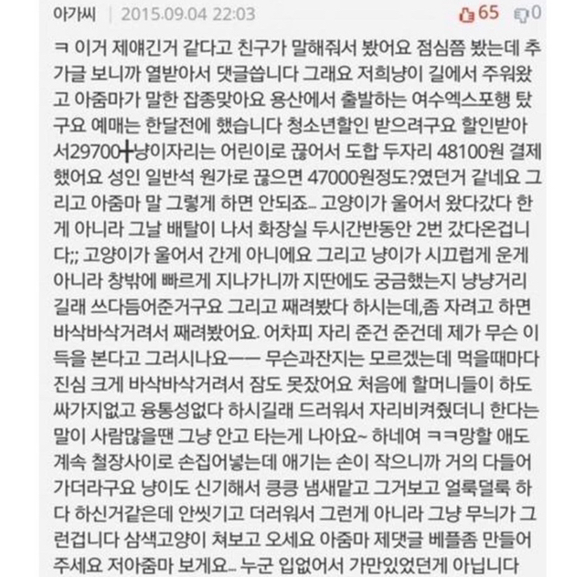 판) 기차에 고양이 데리고 탄 아가씨때문에 죽을뻔했어요 | 인스티즈