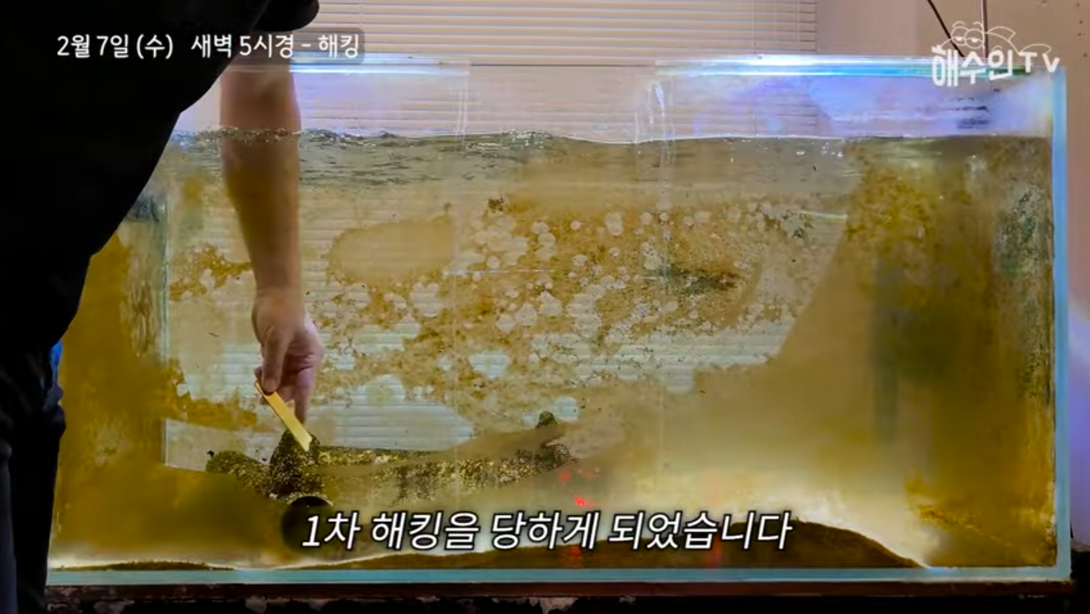 유튜브 계정이 3번이나 해킹 당한 이유 | 인스티즈