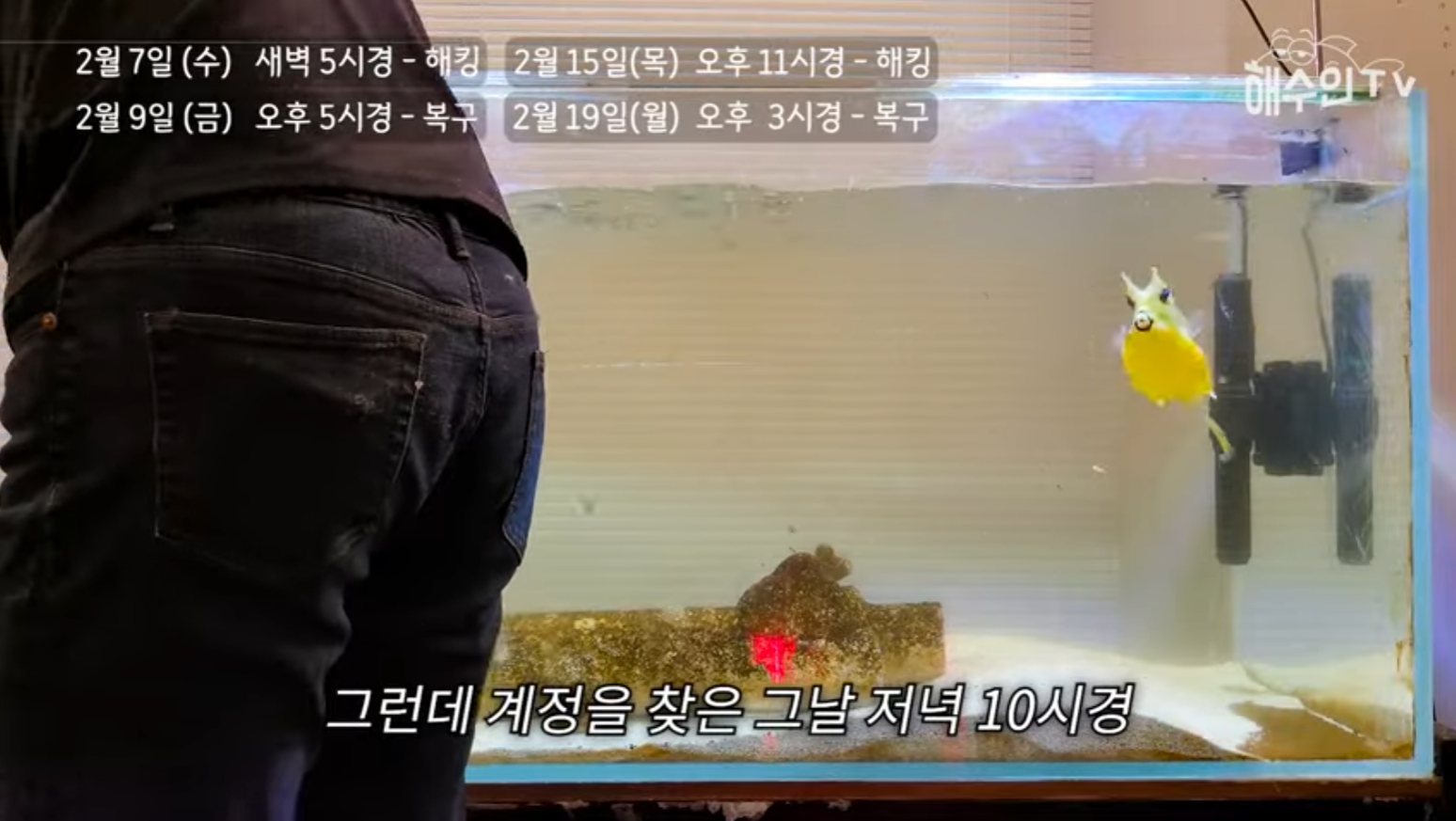 유튜브 계정이 3번이나 해킹 당한 이유 | 인스티즈