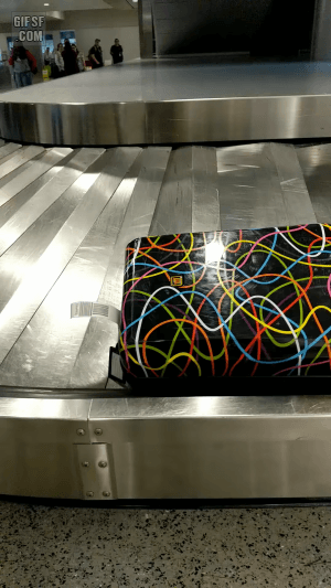 누가봐도 캐리어 주인 gif | 인스티즈