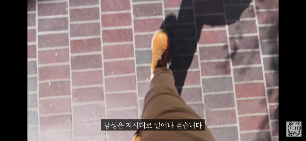 (스압)분리 뇌 실험 | 인스티즈