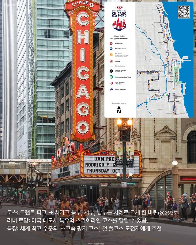 세계 7대 마라톤 | 인스티즈