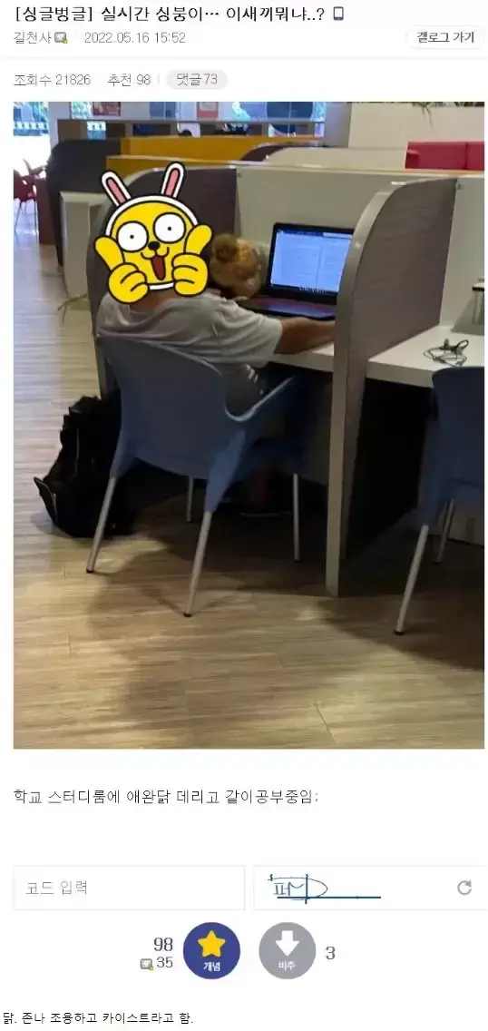 카이스트 다니는 닭 | 인스티즈