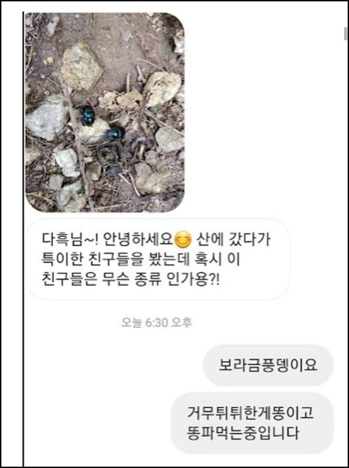 모르는게 없는 유튜버ㅋㅋㅋㅋㅋㅋ.jpg | 인스티즈