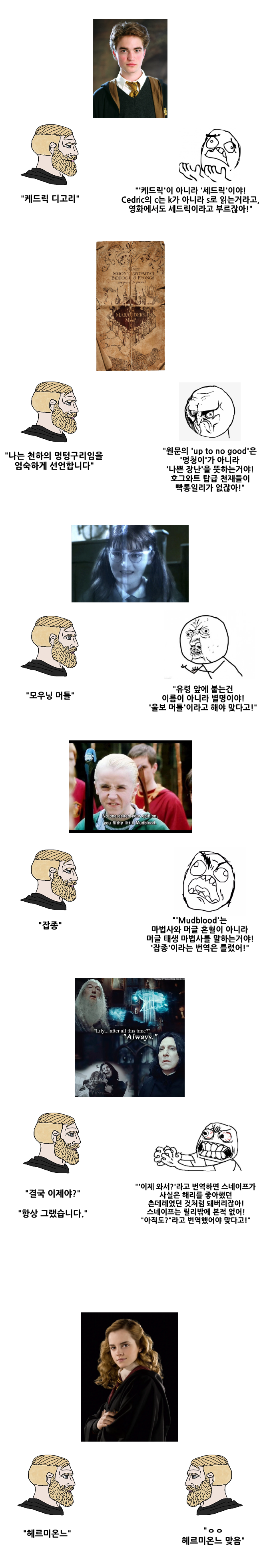 해리포터 원작팬들이 특히 극혐한다는 오역들 | 인스티즈
