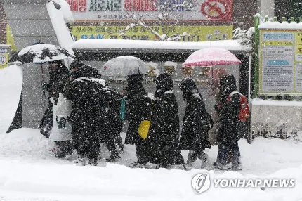폭설에 등교하는 아이들 | 인스티즈