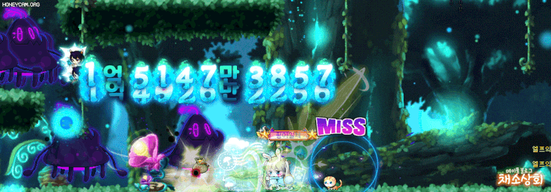 메이플스토리 데미지 스킨 모음 | 인스티즈