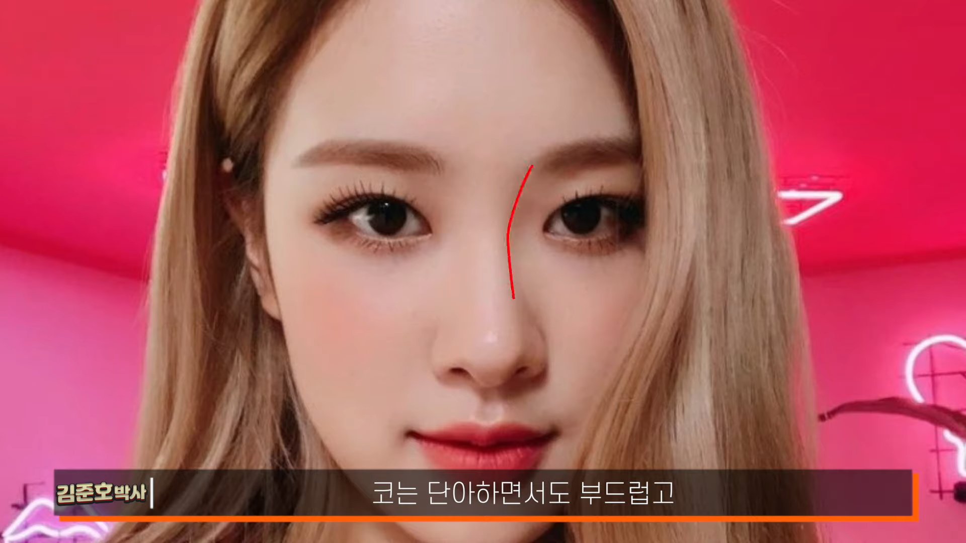 성형전문의가 분석한 블랙핑크 로제 | 인스티즈