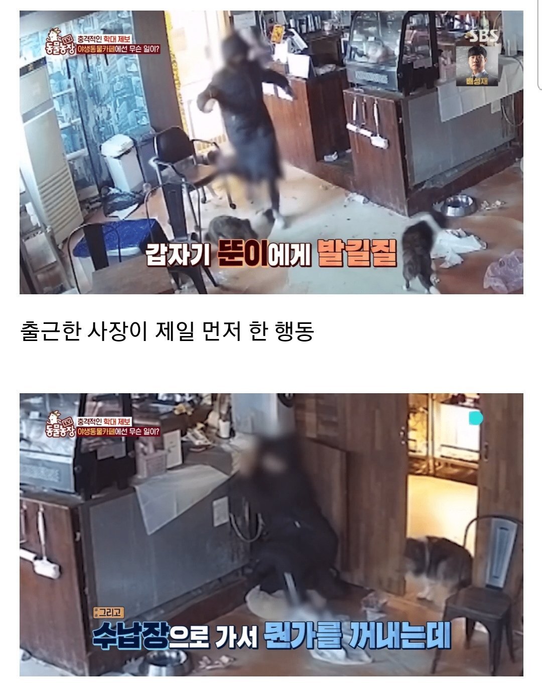현재 난리난 동물농장에 나온 동물카페 사장.jpg | 인스티즈