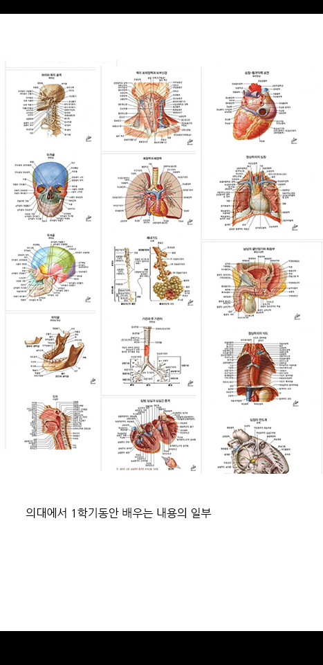 의대생들 공부량 | 인스티즈
