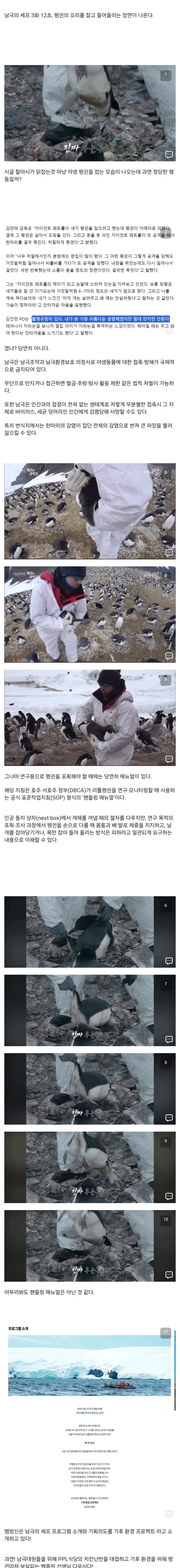 남극의셰프 이번엔 남극조약 위반? | 인스티즈