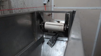 (혐)수컷 병아리의 삶 | 인스티즈