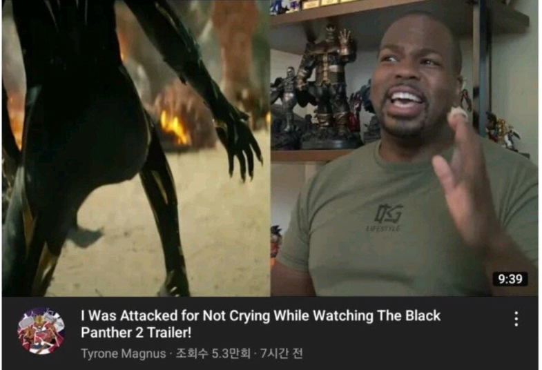 미국 흑인들이 블랙팬서에 집착하는 역사적 이유 | 인스티즈