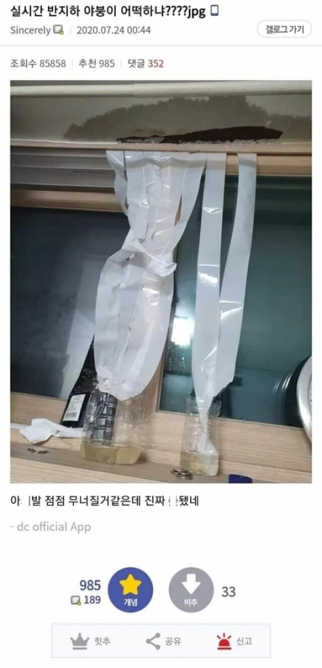 야붕이 실시간 x된 모음집 | 인스티즈