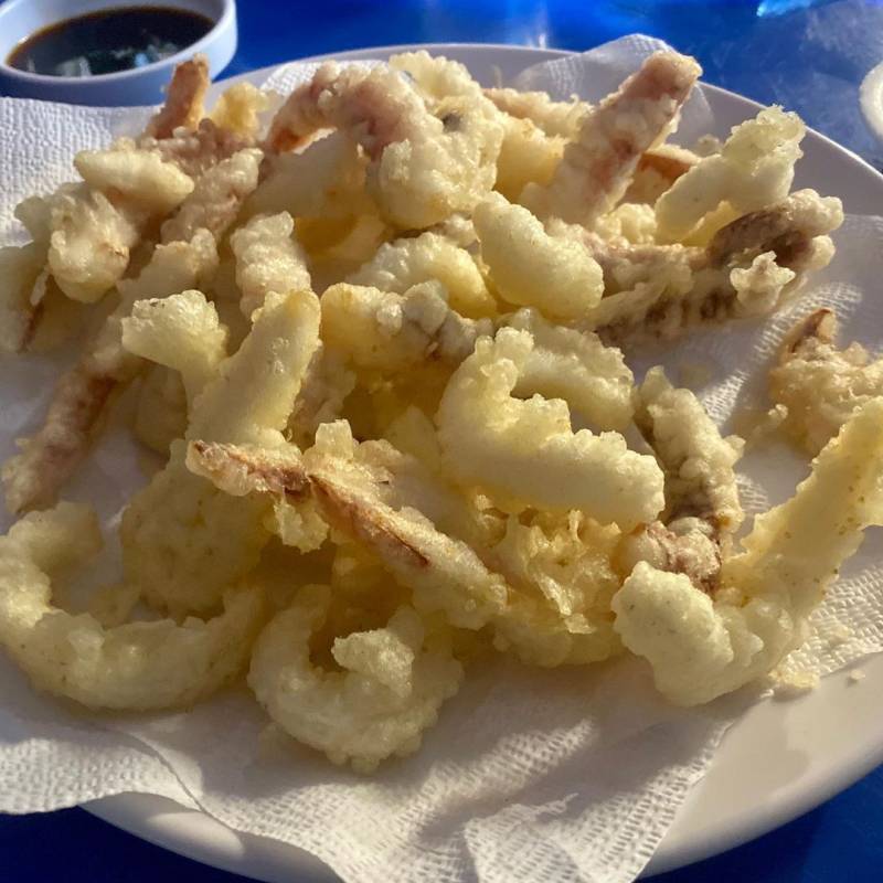 의외로 싫어하는 사람이 좀 있다는 튀김.........jpg | 인스티즈