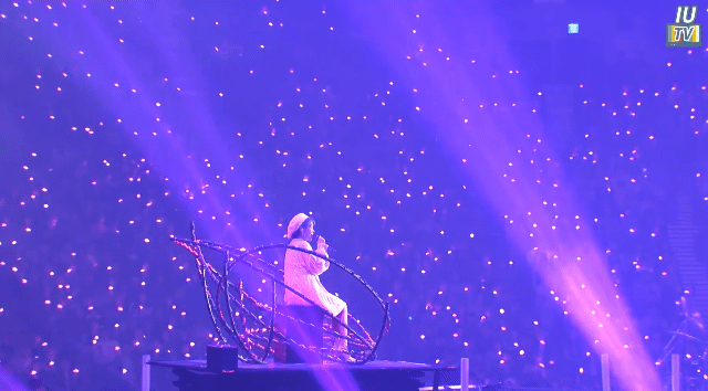 한번쯤 가볼만한 아이유 콘서트.gif | 인스티즈