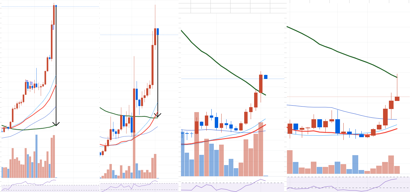 코인을 선정하는 방법 (지극히~개인적인 방법) - 코인게시판 ‥‥‥‥、 - 도탁스 (DOTAX)
