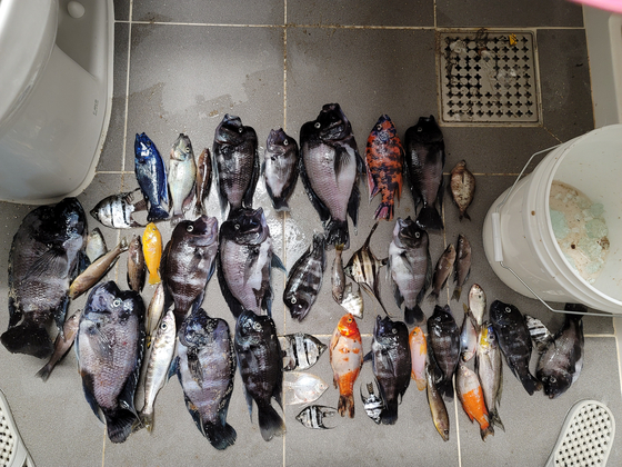 초대형 어항 폭발사건 판결 | 인스티즈