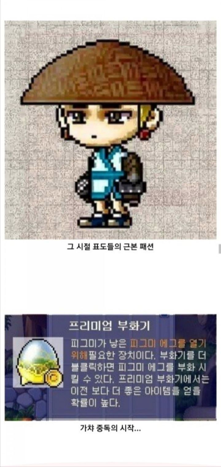모두가 그리워하는 추억의 그 시절 옛날 메이플스토리 | 인스티즈