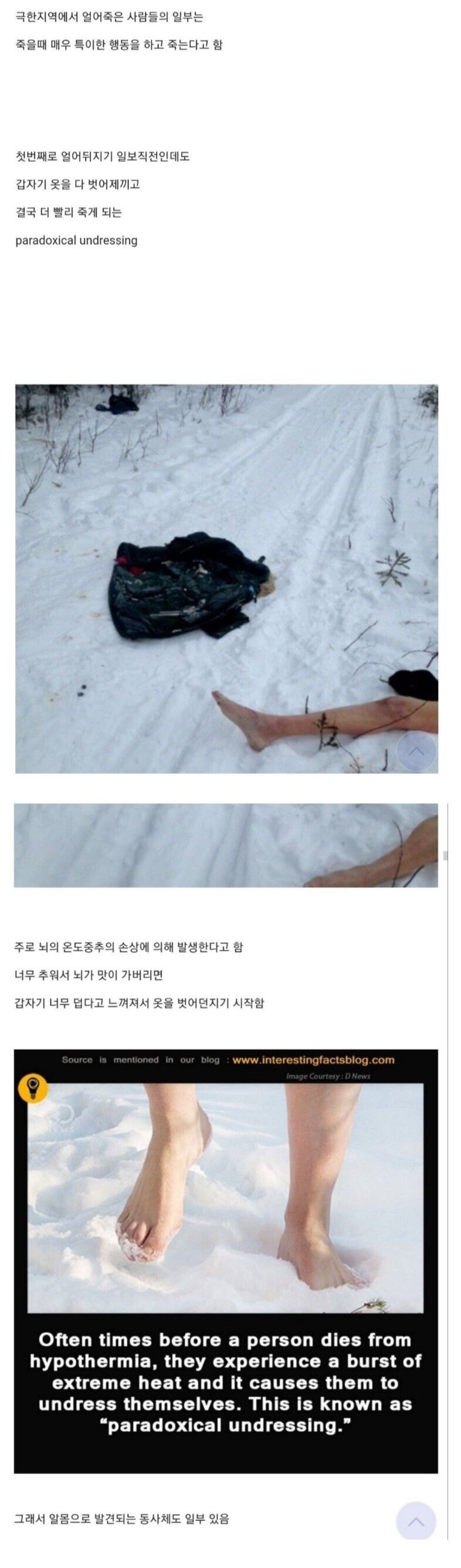 인간이 극한의 추위를 느끼면 한다는 행동 | 인스티즈