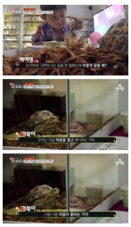 (진짜 너무 슬픔, 눈물 흘릴 각오 필수) 엄마의 죽음을 받아들이는 아이 | 인스티즈