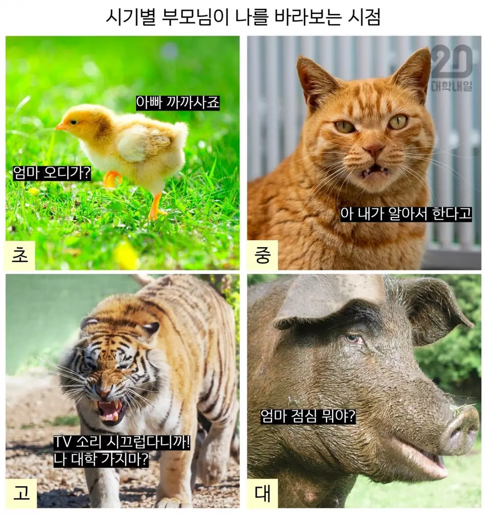 시기별 엄마가 나를 바라보는 시각 | 인스티즈