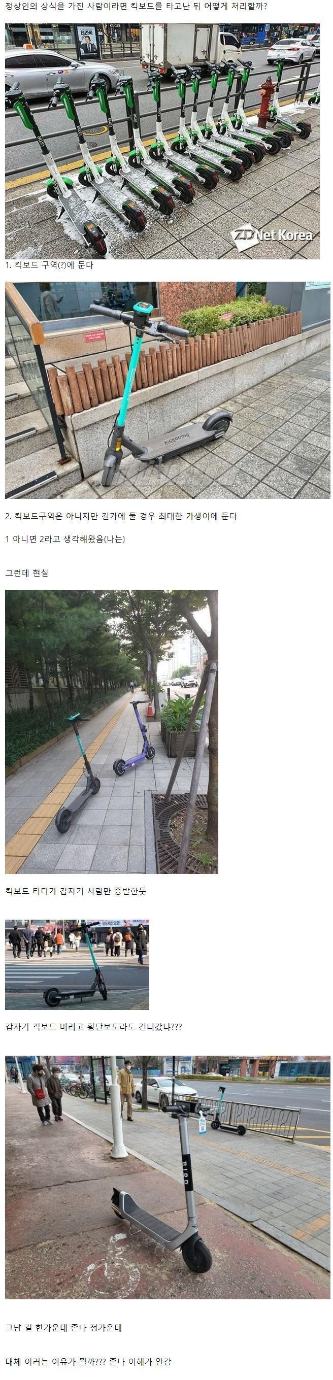 이해할수 없는 킥보드이용방법 | 인스티즈