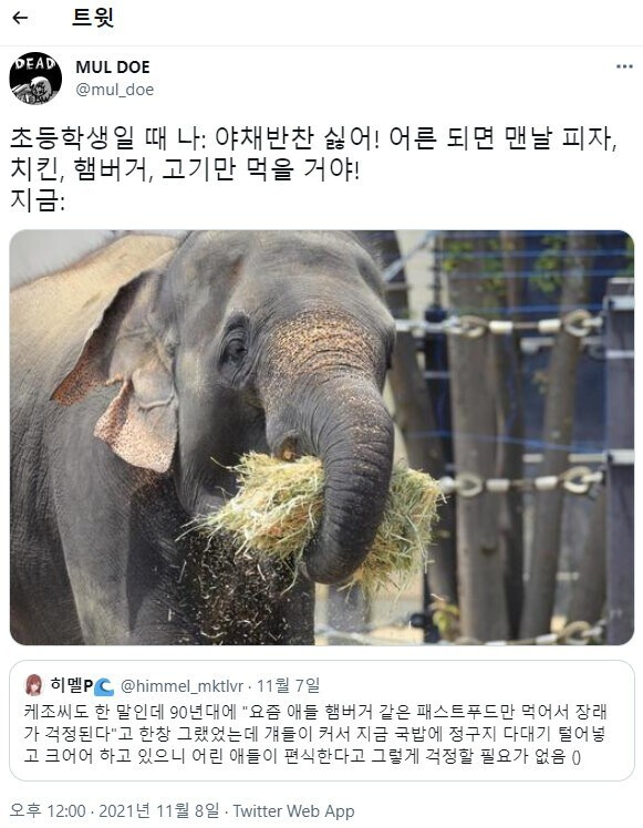 어린 애들이 편식한다고 걱정 할 필요 없는 이유 | 인스티즈