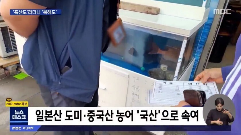 흑산도홍어 이미지